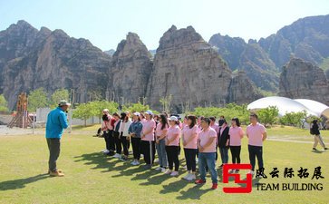 拓展训练心得总结五篇