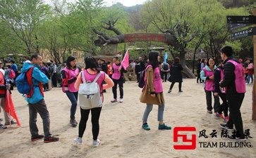 团建提高公司的执行力和凝聚力500字-1500字五篇