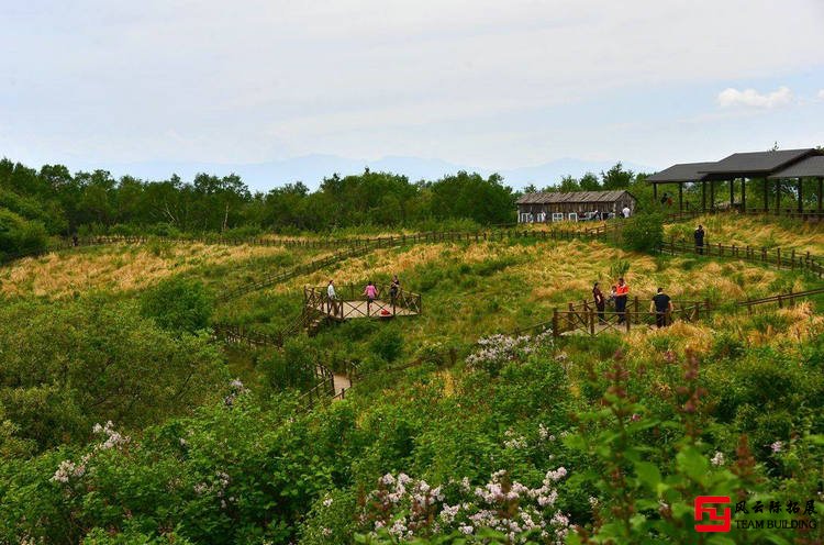 野三坡白草畔1天团建拓展活动方案