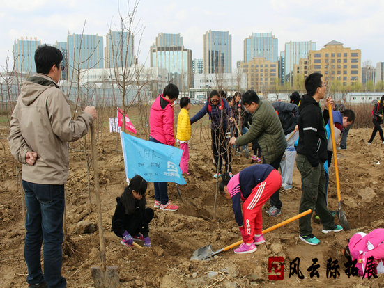 亲子活动植树