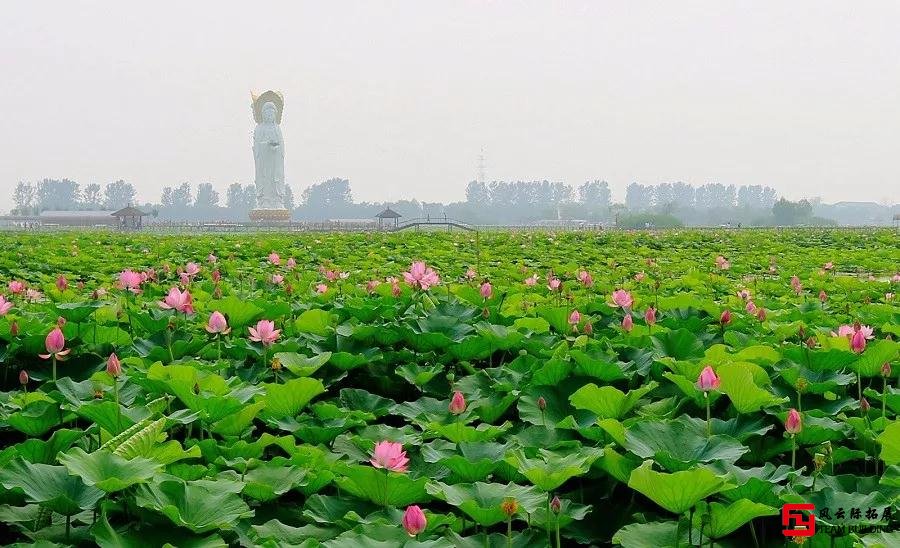 白洋淀主题团建活动总结