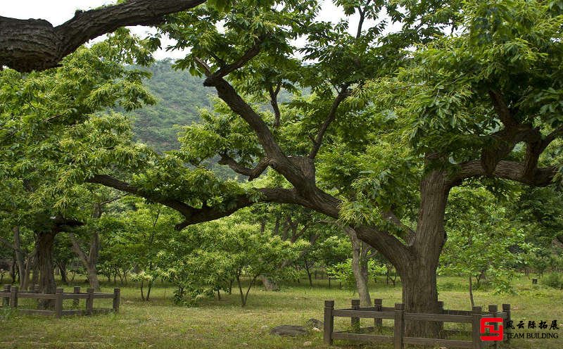 怀柔黄花城水长城团建拓展训练