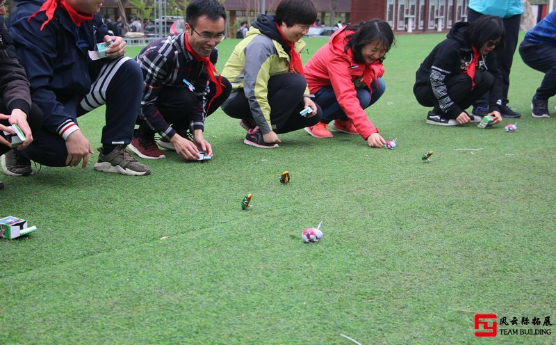  拓展训练学习心得体会500字-1000字五篇