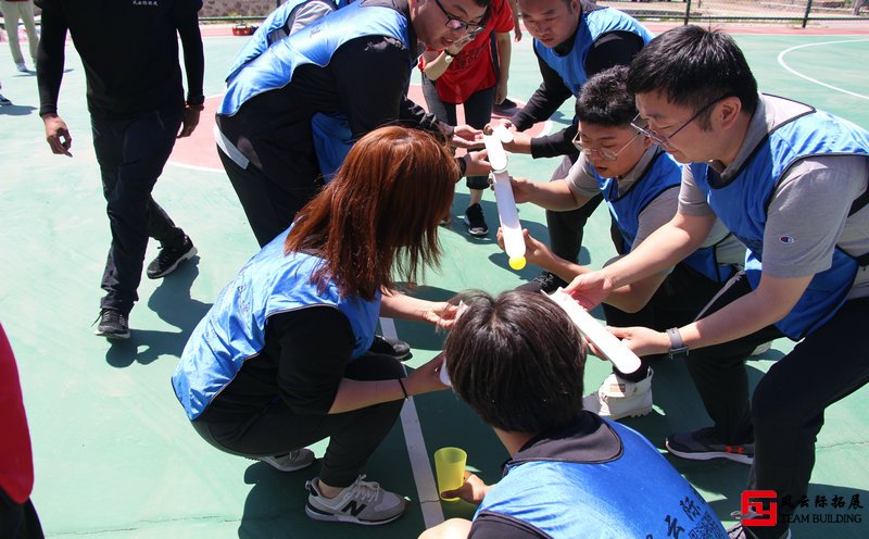 公司拓展训练后的总结五篇