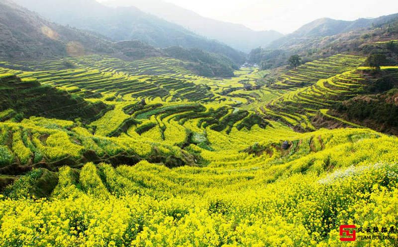 婺源篁岭古村油菜花