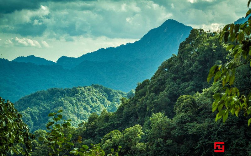 都江堰团建好去处之一青城后山