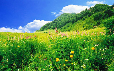 北京团建《百花山拓展训