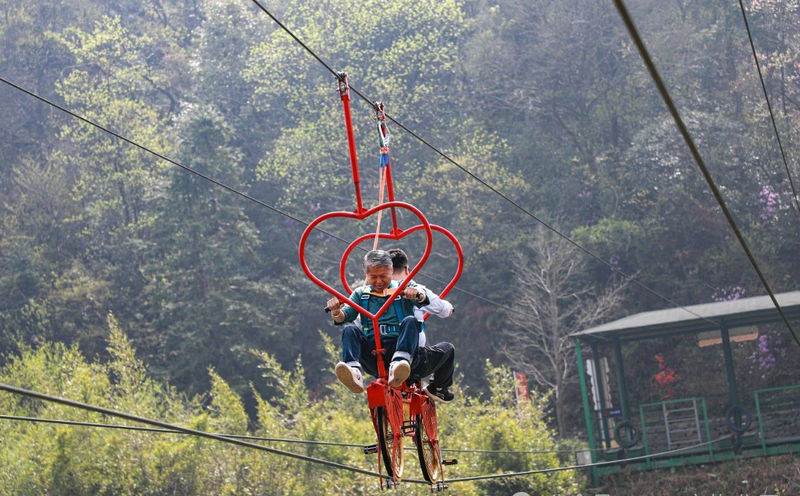 莫干山团建活动